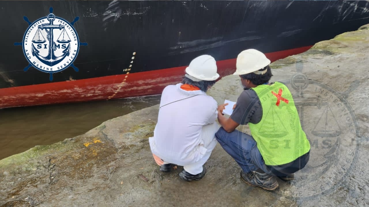 Draft Surveys