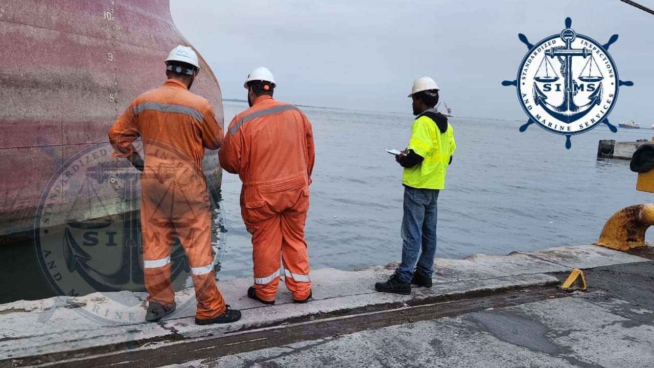 Surveyors and crew observing draft marks from the quay