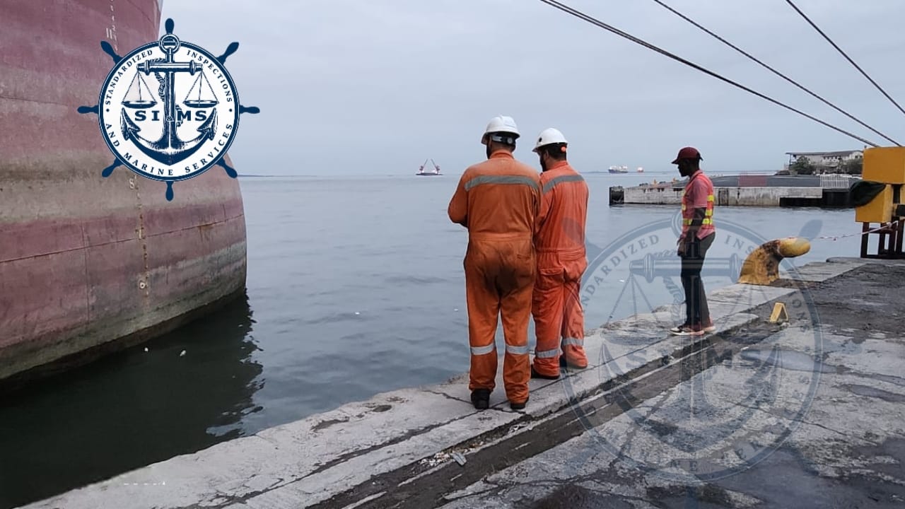 Field documentation from a SIMS draft survey