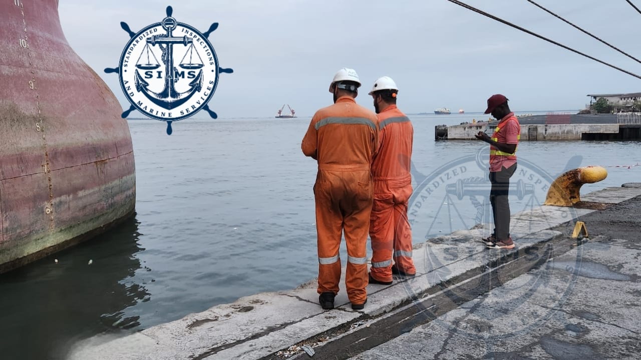 Survey team assessing the vessel from the port quay